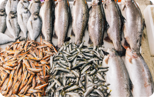 swiper image